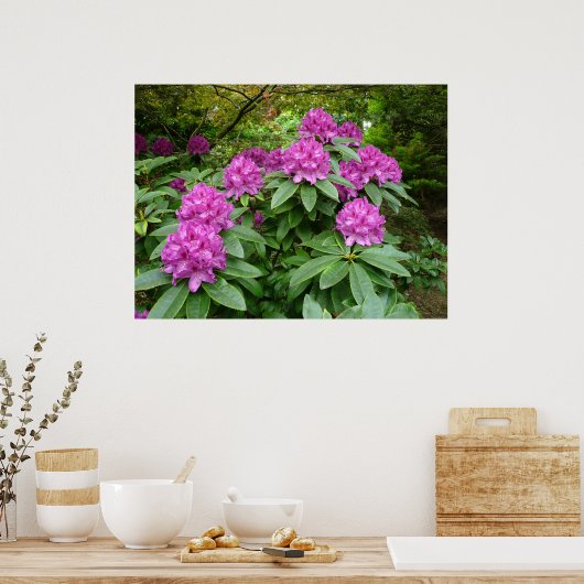 Rhododendron Ponticum Poster (Keuken)