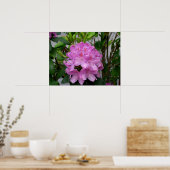 Rhododendron Poster (Keuken)