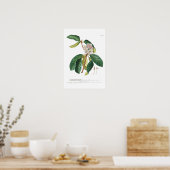 Rhododendron Poster (Keuken)