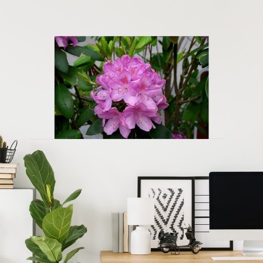Rhododendron Poster (Thuiskantoor)