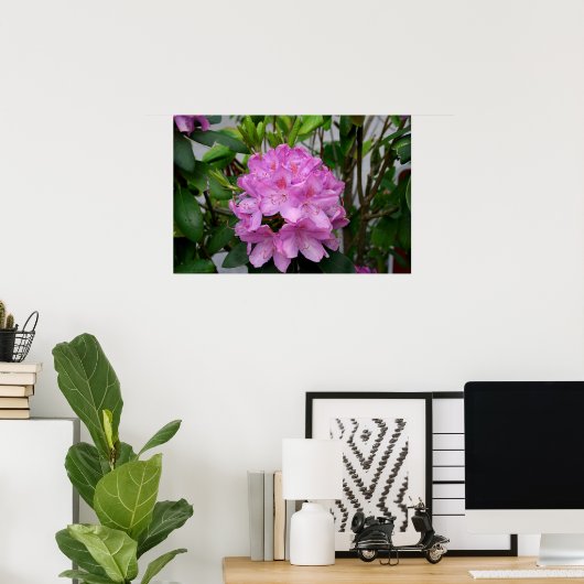 Rhododendron Poster (Thuiskantoor)