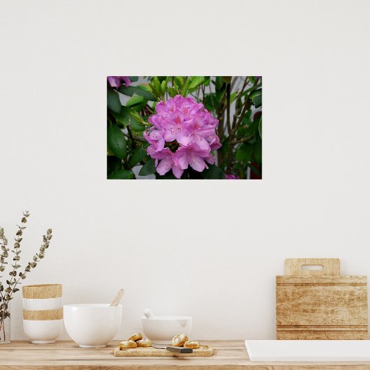 Rhododendron Poster (Keuken)