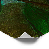 Rhododendron Poster (Hoek)