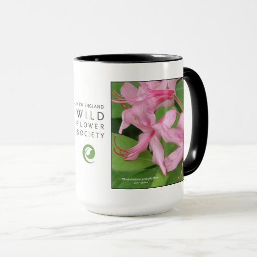 Rhododendron prinophyllum, vroege azalea mok (Voorkant rechts)