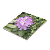Rhododendron - Purple Flowers in Spring Tegeltje (Zijkant)