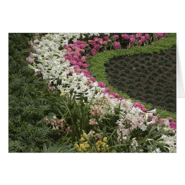 Rhododendron (Rhododendron catawbiense) Heath (Voorkant Horizontaal)