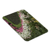 Rhododendron (Rhododendron catawbiense) Heath Magneet (Rechterzijde)