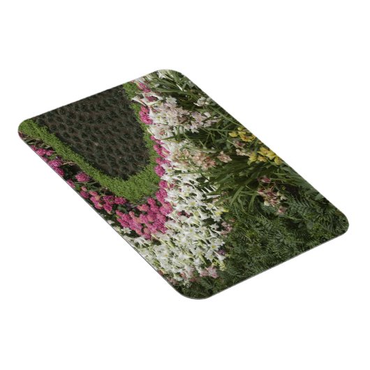 Rhododendron (Rhododendron catawbiense) Heath Magneet (Rechterzijde)