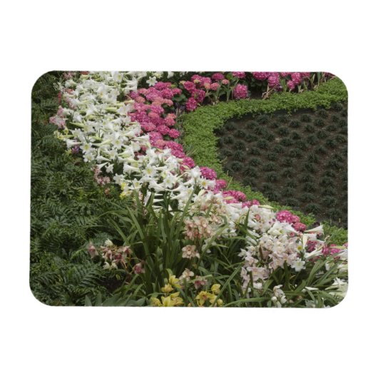 Rhododendron (Rhododendron catawbiense) Heath Magneet (Horizontaal)