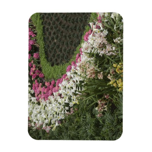 Rhododendron (Rhododendron catawbiense) Heath Magneet (Verticaal)