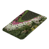 Rhododendron (Rhododendron catawbiense) Heath Magneet (Linkerzijde)