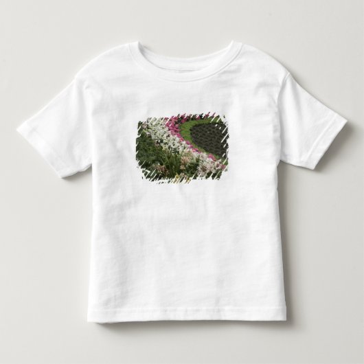 Rhododendron (Rhododendron catawbiense) Heide Kinder Shirts (Voorkant)