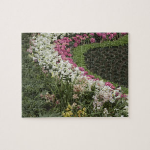 Rhododendron (Rhododendron catawbiense) Heide Legpuzzel