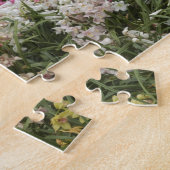 Rhododendron (Rhododendron catawbiense) Heide Legpuzzel (Zijkant)