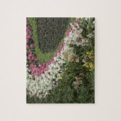 Rhododendron (Rhododendron catawbiense) Heide Legpuzzel (Verticaal)