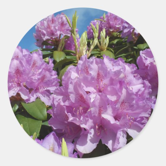 Rhododendron Ronde Sticker (Voorkant)