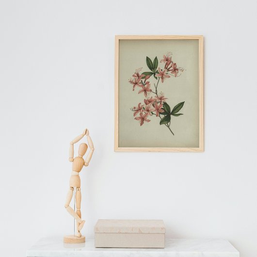 Rhododendron Studieposter Poster