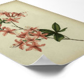 Rhododendron Studieposter Poster (Hoek)