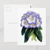 Rhododendron Vintage Botanical Postcard Briefkaart (Voorkant / Achterkant)