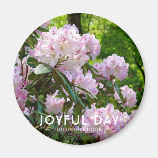 Rhododendron "Vrolijke Dag" Magneet (Voorkant)