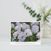 Rhododendron "Wedding Bouquet" Briefkaart (Staand voorkant)
