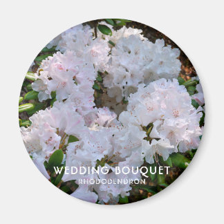 Rhododendron "Wedding Bouquet" Magneet