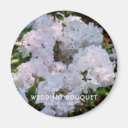 Rhododendron "Wedding Bouquet" Magneet (Voorkant)