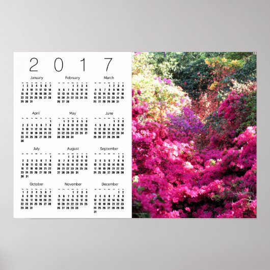 Rhododendron White Calendar Poster 2017 (Voorkant)
