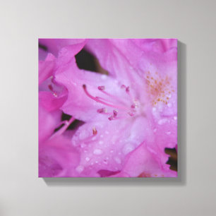 Rhododendron Wrapped Canvas Afdruk