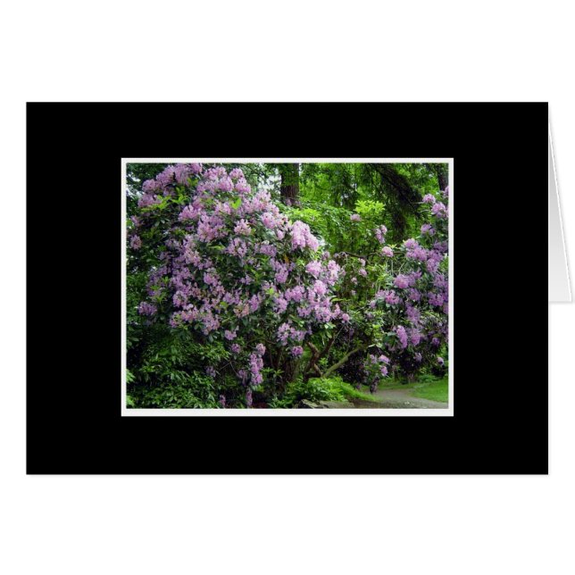 Rhododendronbosje (Voorkant Horizontaal)