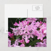 Rhododendrons II Briefkaart (Voorkant / Achterkant)