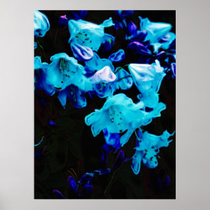 Rhododendrons in Blauw, Floral, Blauwe Bloemen Poster