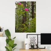 Rhododendrons in bloei met kustredwoodbomen poster (Thuiskantoor)
