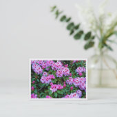 Rhododendrons, Mini-fotokaart Visitekaartje (Staand voorkant)