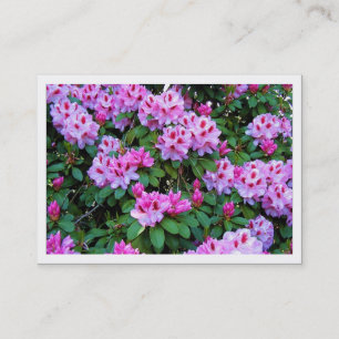 Rhododendrons, Mini-fotokaart Visitekaartje