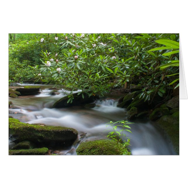 Rhododendrons op de Creek Card (Voorkant Horizontaal)