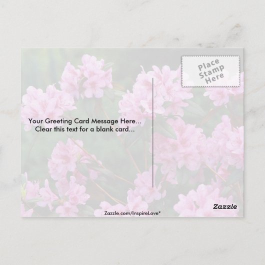 Rhododendrons, Quebec, Canada Briefkaart (Achterkant)
