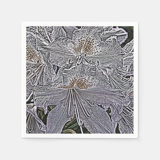 RHODODENDRONS SERVET (Voorkant)