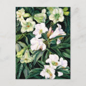 Rhododendrons van Noord-India Briefkaart (Voorkant)