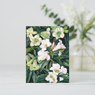 Rhododendrons van Noord-India Briefkaart