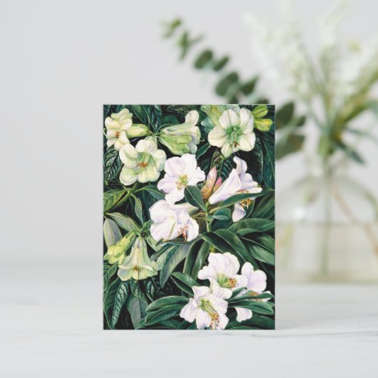 Rhododendrons van Noord-India Briefkaart (Staand voorkant)