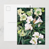 Rhododendrons van Noord-India Briefkaart (Voorkant / Achterkant)