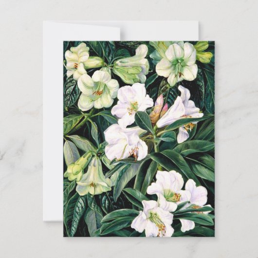 Rhododendrons van Noord-India Kaart (Voorkant)