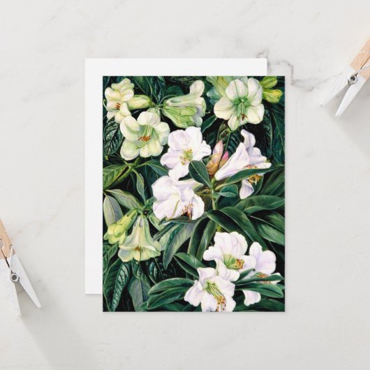 Rhododendrons van Noord-India Kaart (Voorkant / Achterkant in situ)