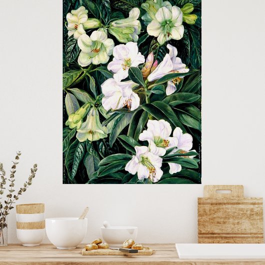 Rhododendrons van Noord-India Poster (Keuken)