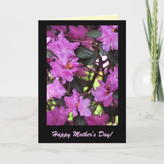 Rhododendrons voor Moederdag Kaart (Voorkant)