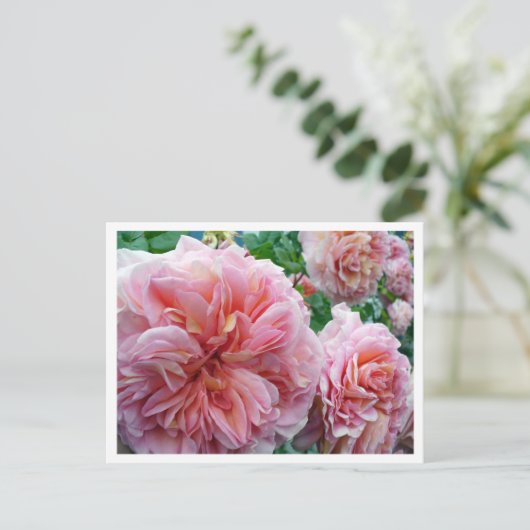 Rhododendrum Briefkaart (Staand voorkant)