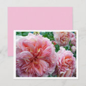 Rhododendrum Briefkaart (Voorkant / Achterkant)