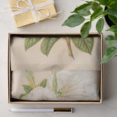 Rhododendrum Sesterianum, ontkoppeling Tissuepapier (Geschenk)