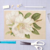 Rhododendrum Sesterianum, ontkoppeling Tissuepapier (Craft)